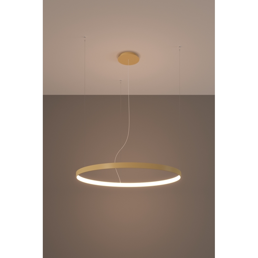 Thoro TH.174 - LED pendel RIO LED/50W/230V CRI 90 3000K diameter 78 cm guldfarvet