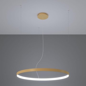 Thoro TH.181 - LED  Pendel RIO LED /50W/230V CRI 95 4000K diameter 78 cm guldfarvet