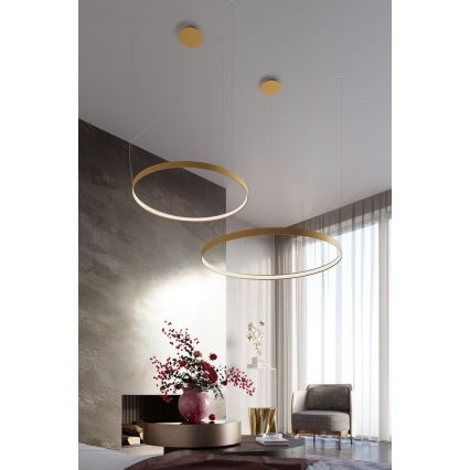 Thoro TH.181 - LED  Pendel RIO LED /50W/230V CRI 95 4000K diameter 78 cm guldfarvet
