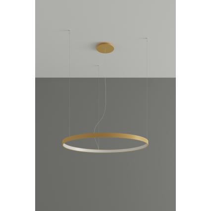 Thoro TH.181 - LED  Pendel RIO LED /50W/230V CRI 95 4000K diameter 78 cm guldfarvet