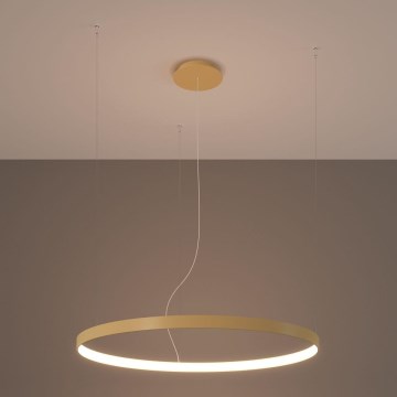 Thoro TH.216 - LED pendel RIO LED/30W/230V CRI 90 3000K diameter 55 cm guldfarvet