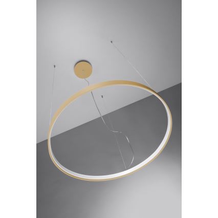 Thoro TH.216 - LED pendel RIO LED/30W/230V CRI 90 3000K diameter 55 cm guldfarvet