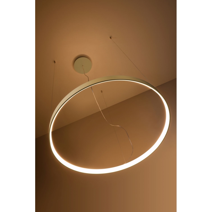 Thoro TH.216 - LED pendel RIO LED/30W/230V CRI 90 3000K diameter 55 cm guldfarvet