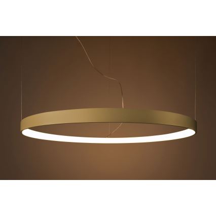 Thoro TH.216 - LED pendel RIO LED/30W/230V CRI 90 3000K diameter 55 cm guldfarvet