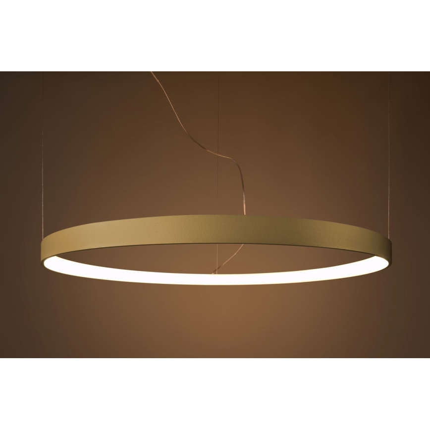 Thoro TH.216 - LED pendel RIO LED/30W/230V CRI 90 3000K diameter 55 cm guldfarvet