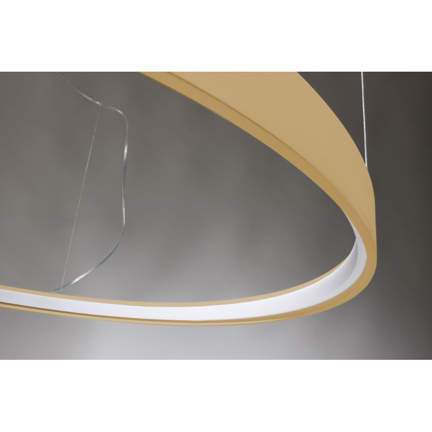 Thoro TH.216 - LED pendel RIO LED/30W/230V CRI 90 3000K diameter 55 cm guldfarvet