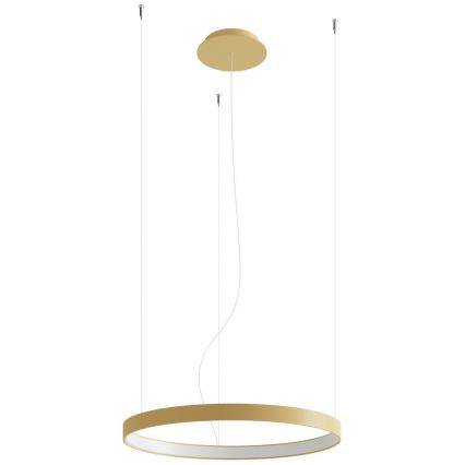 Thoro TH.216 - LED pendel RIO LED/30W/230V CRI 90 3000K diameter 55 cm guldfarvet