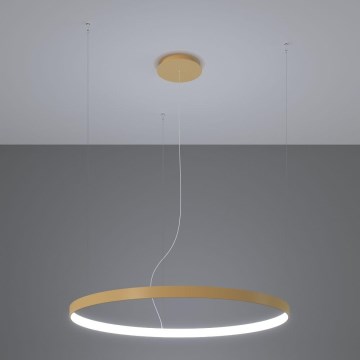 Thoro TH.217 - LED pendel RIO LED/30W/230V CRI 95 4000K diameter 55 cm guldfarvet