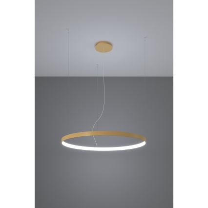 Thoro TH.217 - LED pendel RIO LED/30W/230V CRI 95 4000K diameter 55 cm guldfarvet