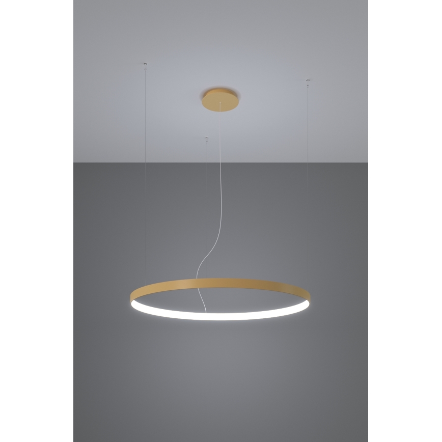 Thoro TH.217 - LED pendel RIO LED/30W/230V CRI 95 4000K diameter 55 cm guldfarvet