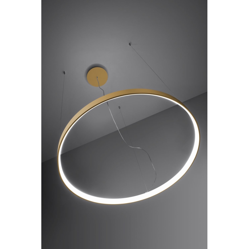 Thoro TH.217 - LED pendel RIO LED/30W/230V CRI 95 4000K diameter 55 cm guldfarvet