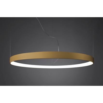 Thoro TH.217 - LED pendel RIO LED/30W/230V CRI 95 4000K diameter 55 cm guldfarvet