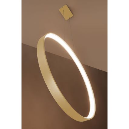 Thoro TH.220 - LED pendel RIO LED/30W/230V CRI 90 3000K diameter 55 cm guldfarvet