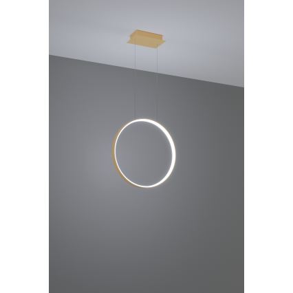 Thoro TH.221 - LED pendel RIO LED/30W/230V CRI 95 4000K diameter 55 cm guldfarvet