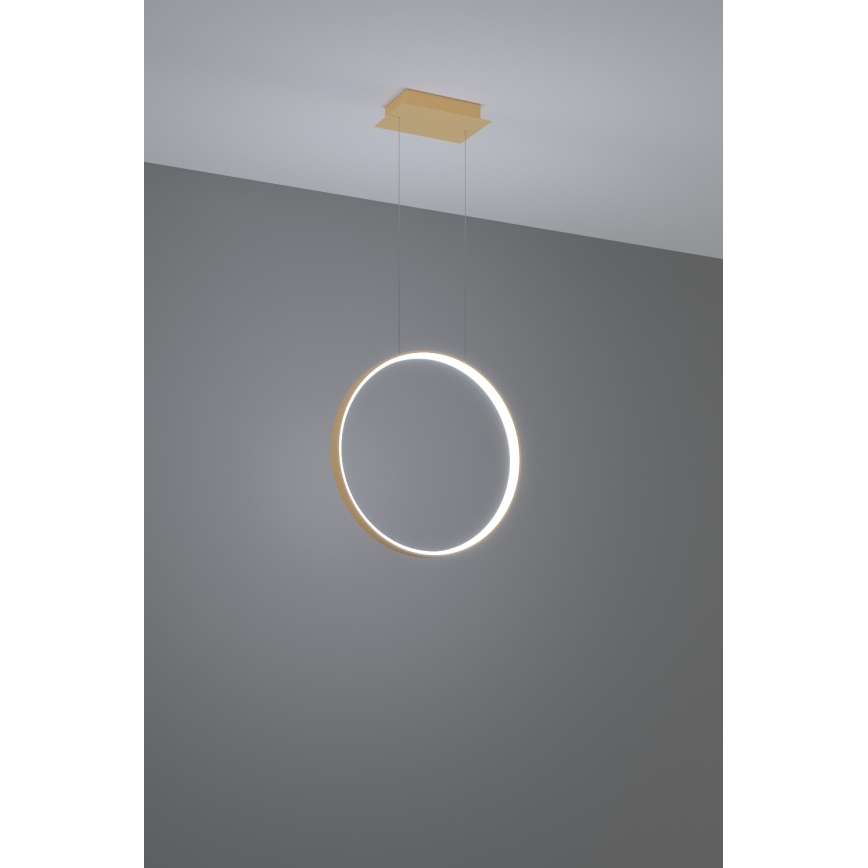 Thoro TH.221 - LED pendel RIO LED/30W/230V CRI 95 4000K diameter 55 cm guldfarvet
