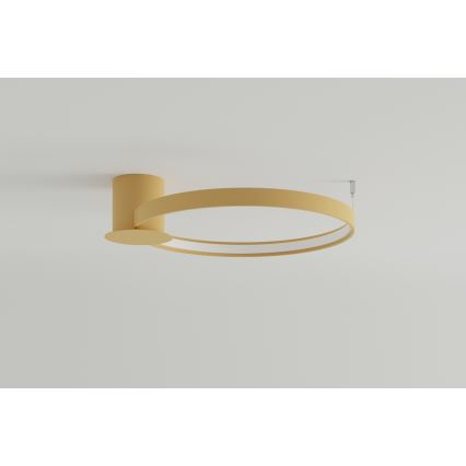 Thoro TH.222 - LED loftlampe RIO LED/30W/230V CRI 90 3000K diameter 55 cm guldfarvet