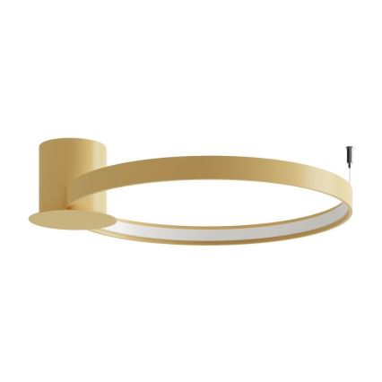 Thoro TH.222 - LED loftlampe RIO LED/30W/230V CRI 90 3000K diameter 55 cm guldfarvet
