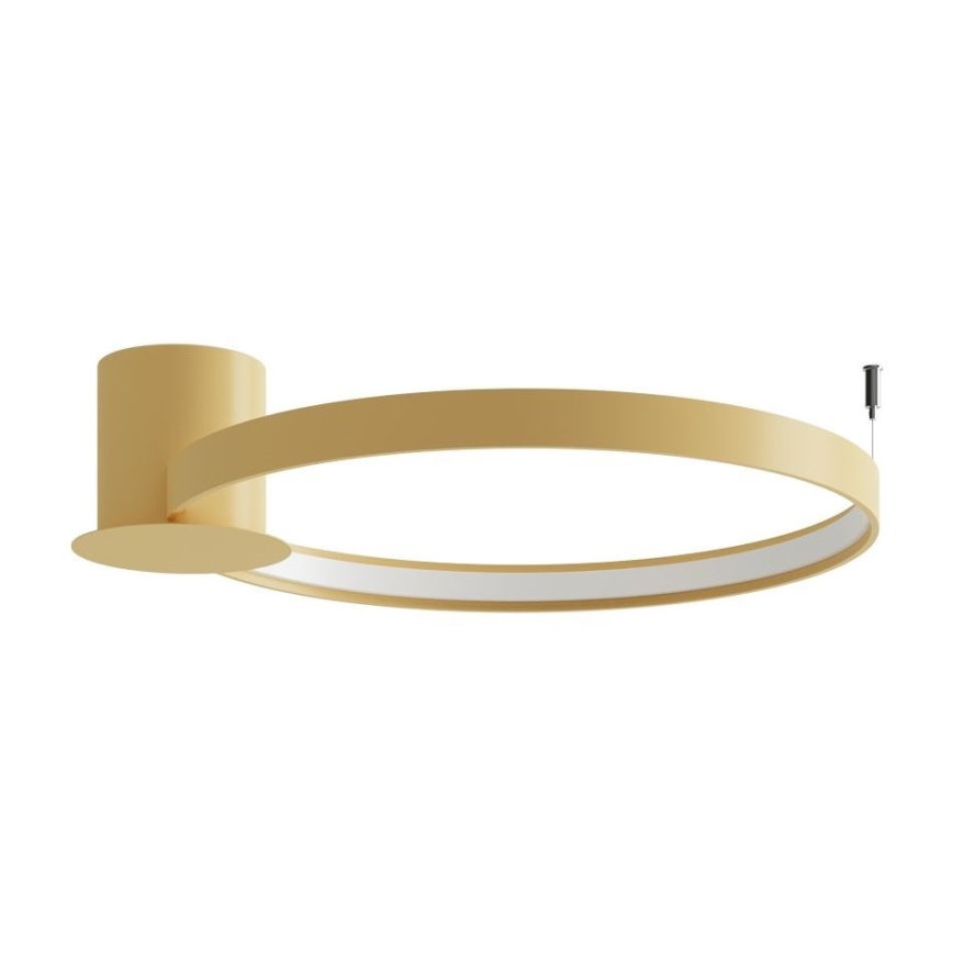 Thoro TH.222 - LED loftlampe RIO LED/30W/230V CRI 90 3000K diameter 55 cm guldfarvet