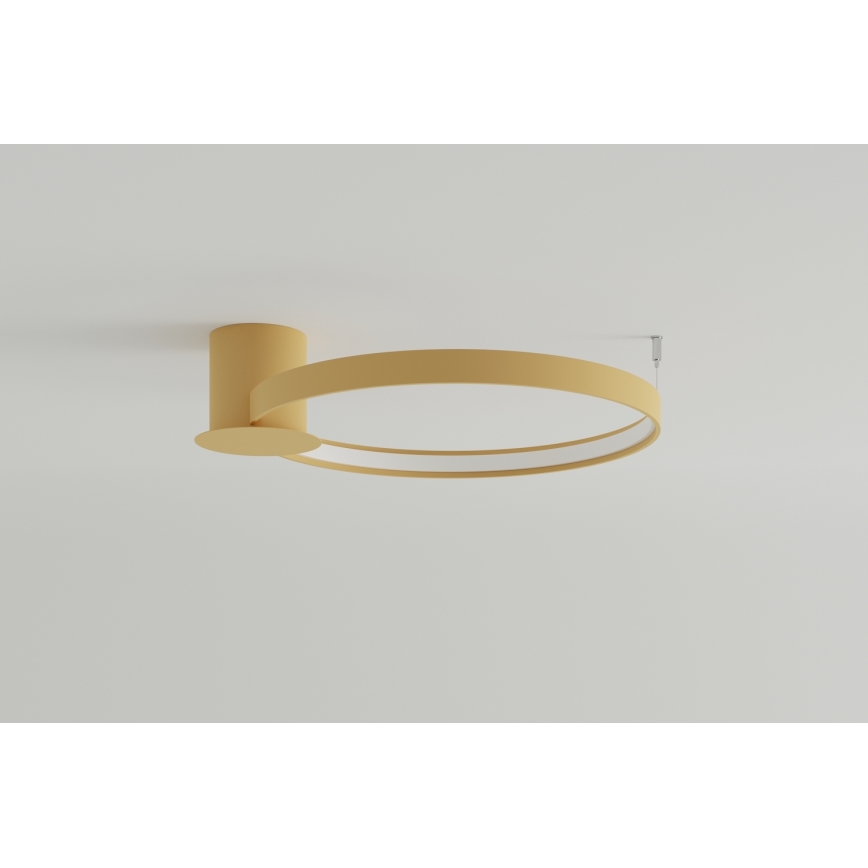 Thoro TH.223 - LED loftlampe RIO LED/30W/230V CRI 95 4000K diameter 55 cm guldfarvet
