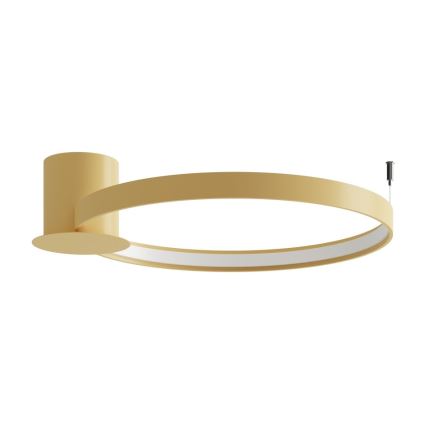 Thoro TH.223 - LED loftlampe RIO LED/30W/230V CRI 95 4000K diameter 55 cm guldfarvet