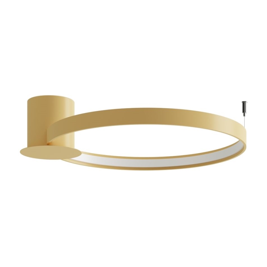 Thoro TH.223 - LED loftlampe RIO LED/30W/230V CRI 95 4000K diameter 55 cm guldfarvet