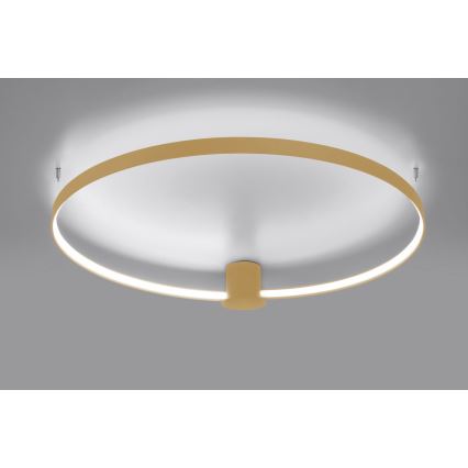 Thoro TH.223 - LED loftlampe RIO LED/30W/230V CRI 95 4000K diameter 55 cm guldfarvet