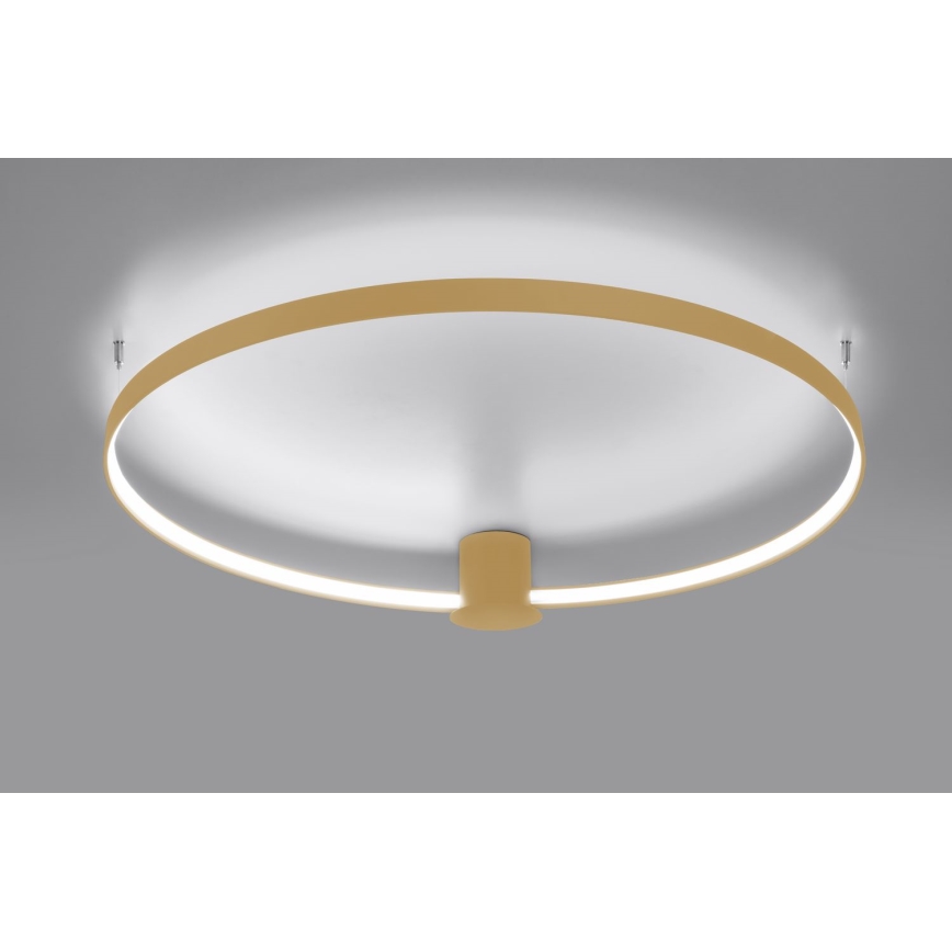 Thoro TH.223 - LED loftlampe RIO LED/30W/230V CRI 95 4000K diameter 55 cm guldfarvet