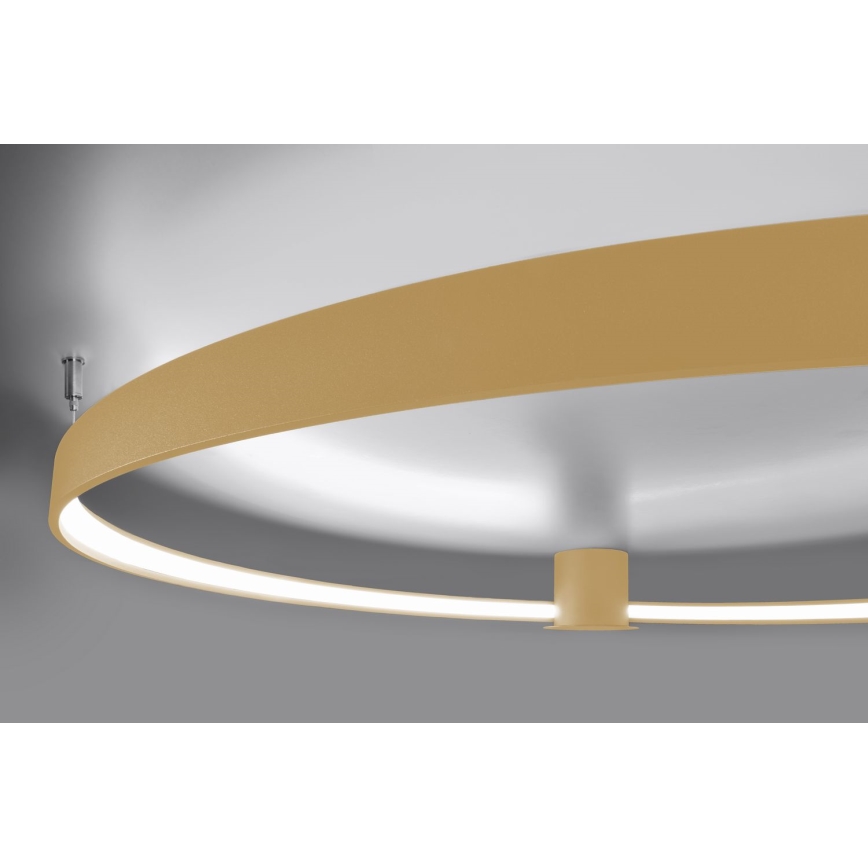 Thoro TH.223 - LED loftlampe RIO LED/30W/230V CRI 95 4000K diameter 55 cm guldfarvet