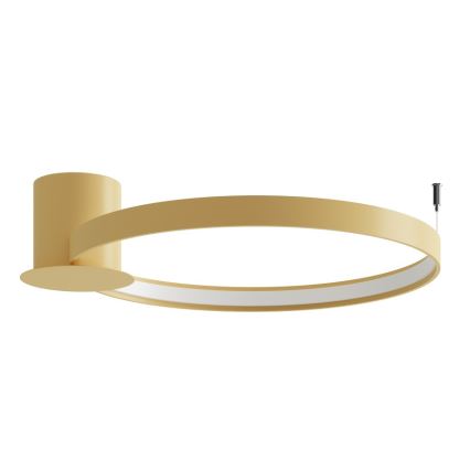 Thoro TH.223 - RIO LED-loftlampe 30W/230V CRI 98 4000K Ø 55 cm, guld