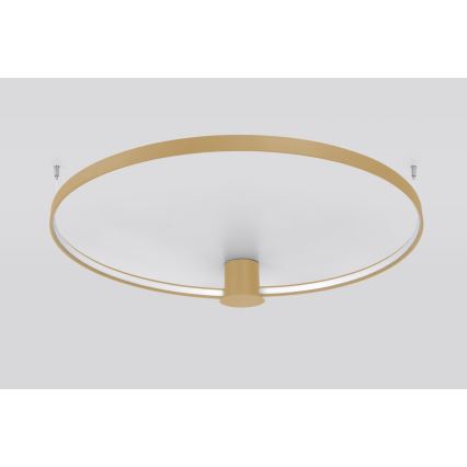 Thoro TH.224 - LED loftlampe RIO LED/50W/230V CRI 90 3000K diameter 78 cm guldfarvet