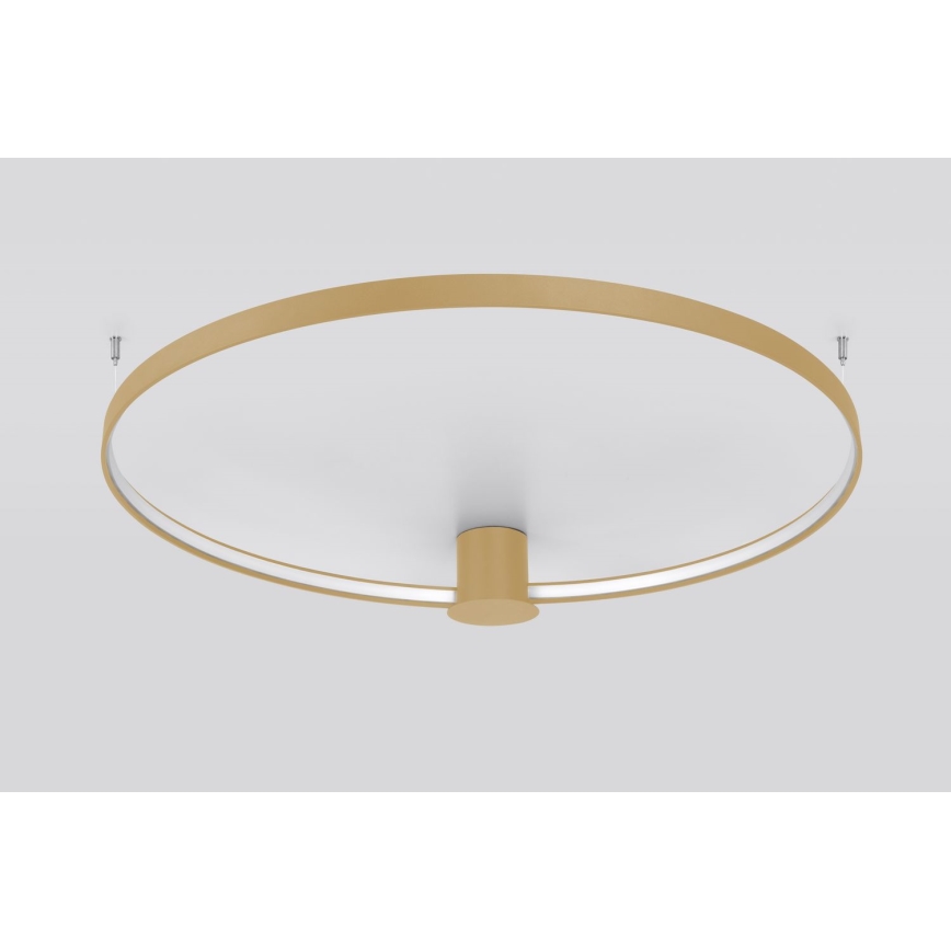 Thoro TH.224 - LED loftlampe RIO LED/50W/230V CRI 90 3000K diameter 78 cm guldfarvet