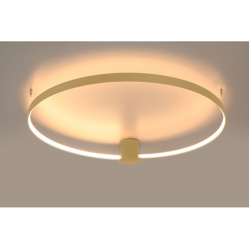 Thoro TH.224 - LED loftlampe RIO LED/50W/230V CRI 90 3000K diameter 78 cm guldfarvet