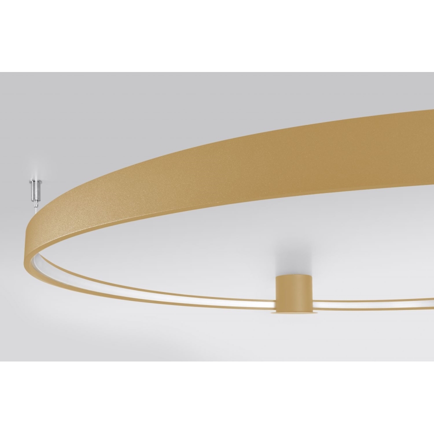 Thoro TH.224 - LED loftlampe RIO LED/50W/230V CRI 90 3000K diameter 78 cm guldfarvet