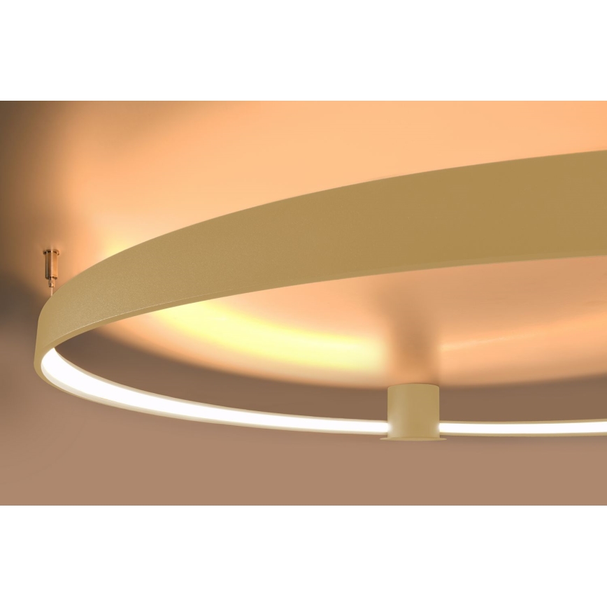Thoro TH.224 - LED loftlampe RIO LED/50W/230V CRI 90 3000K diameter 78 cm guldfarvet