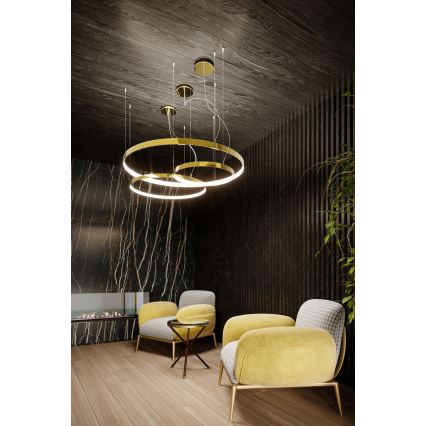 Thoro TH.246 - LED pendel RIO LED/50W/230V CRI 90 3000K diameter 78 cm guldfarvet