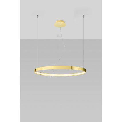 Thoro TH.246 - LED pendel RIO LED/50W/230V CRI 90 3000K diameter 78 cm guldfarvet
