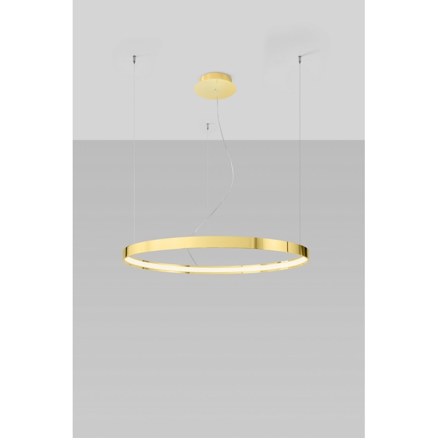 Thoro TH.246 - LED pendel RIO LED/50W/230V CRI 90 3000K diameter 78 cm guldfarvet