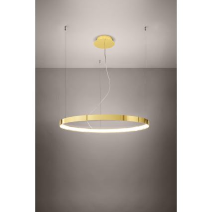 Thoro TH.246 - LED pendel RIO LED/50W/230V CRI 90 3000K diameter 78 cm guldfarvet