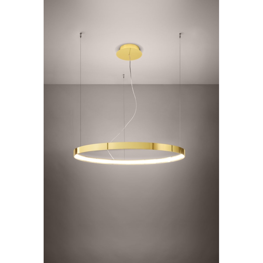 Thoro TH.246 - LED pendel RIO LED/50W/230V CRI 90 3000K diameter 78 cm guldfarvet
