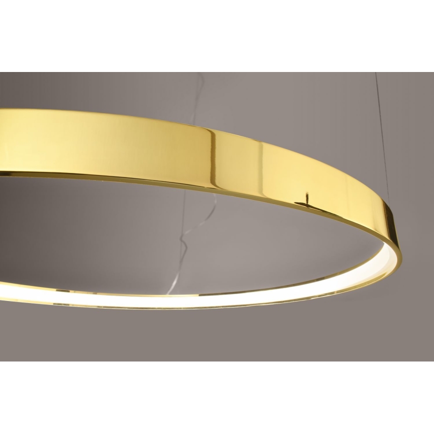 Thoro TH.246 - LED pendel RIO LED/50W/230V CRI 90 3000K diameter 78 cm guldfarvet