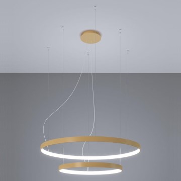 Thoro TH.268 - LED loftlampe på wire RIO LED/80W/230V CRI 95 4000K guld