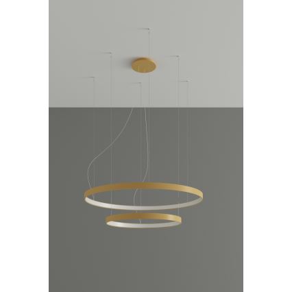 Thoro TH.268 - LED loftlampe på wire RIO LED/80W/230V CRI 95 4000K guld