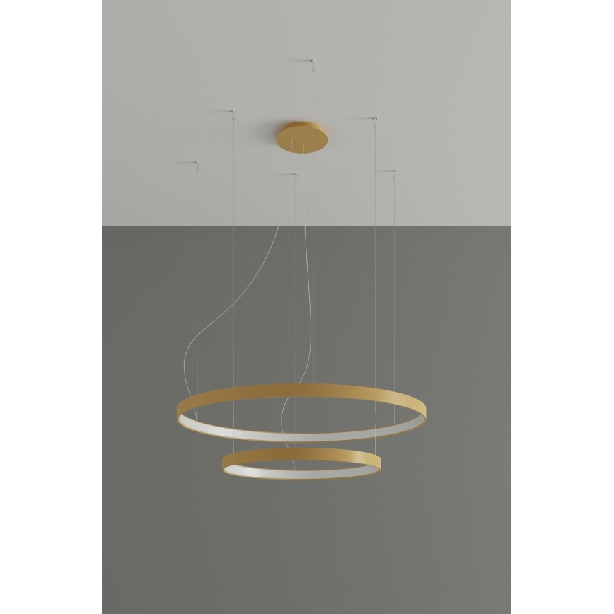 Thoro TH.268 - LED loftlampe på wire RIO LED/80W/230V CRI 95 4000K guld