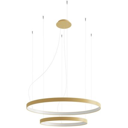 Thoro TH.268 - LED loftlampe på wire RIO LED/80W/230V CRI 95 4000K guld