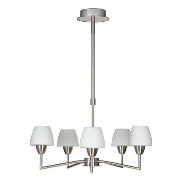 TOGO pendellampe 5xG9/40W/230V mat krom/hvid