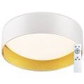 Top Belysning - LED loftlampe dæmpbar IVONA 40B + fjernbetjening LED/24W/230V + fjernbetjening hvid