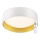 Top Belysning - LED loftlampe dæmpbar IVONA 40B + fjernbetjening LED/24W/230V + fjernbetjening hvid