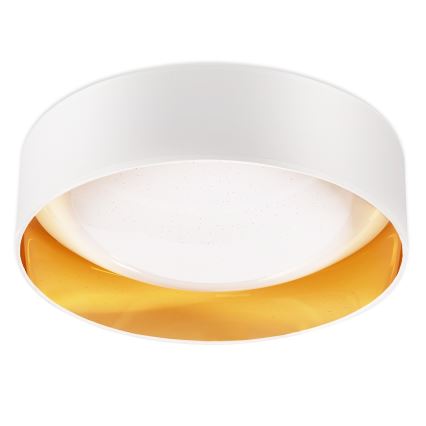 Top Belysning - LED loftlampe dæmpbar IVONA 40B + fjernbetjening LED/24W/230V + fjernbetjening hvid