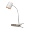 Top Belysning Mia KL B - LED lampe med klemme MIA LED/4,5W/230V