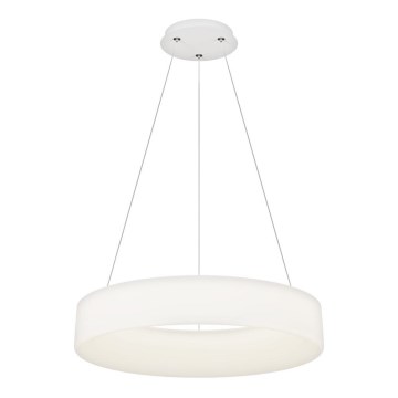 Top Light - Dæmpbart Pendellampe HALO LED/60W/230V 3000-6500K Ø 60 cm + Fjernbetjening